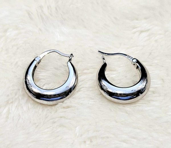Boucles d'oreilles la petite anneau